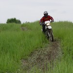 [Click to enlarge image]