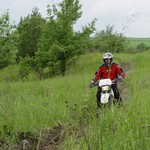 [Click to enlarge image]