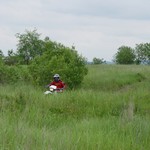 [Click to enlarge image]