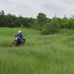 [Click to enlarge image]